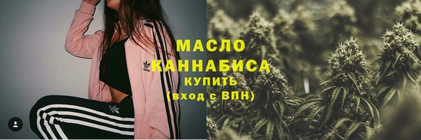 шишки Надым