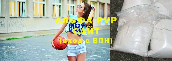 шишки Надым