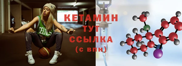 шишки Надым