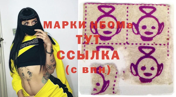 шишки Надым
