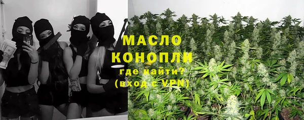 шишки Надым