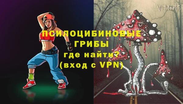 шишки Надым