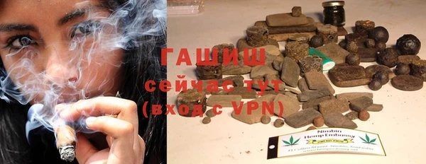 шишки Надым