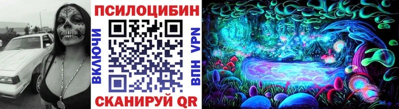 Галлюциногенные грибы Psilocybine cubensis  Энем 